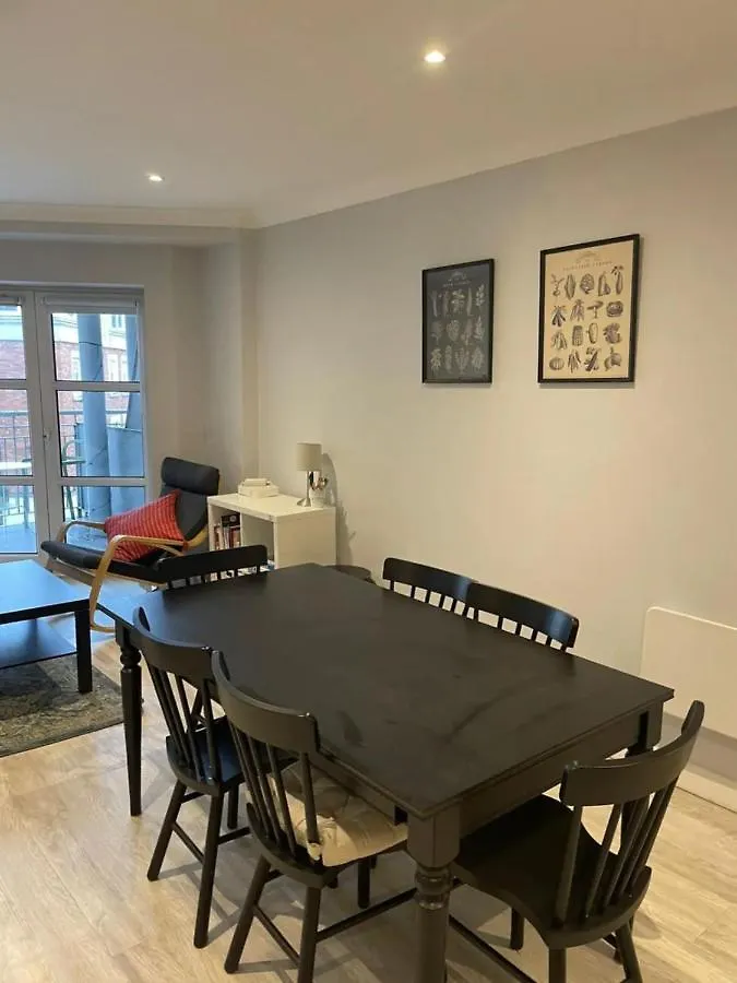 Stylish 2 Bedroom Flat In Dublino